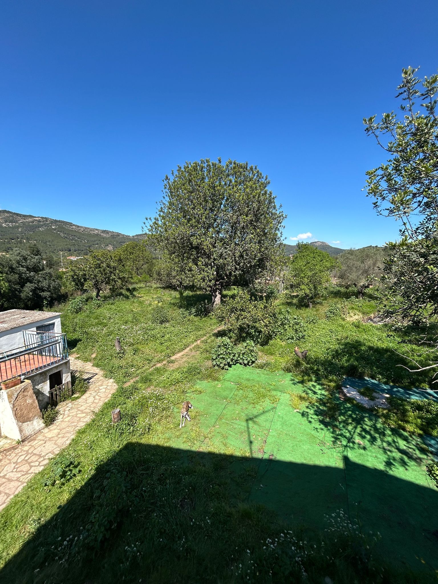Por 160000€ villa con terreno rustico en Borriol.